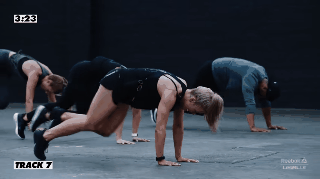 body sistems